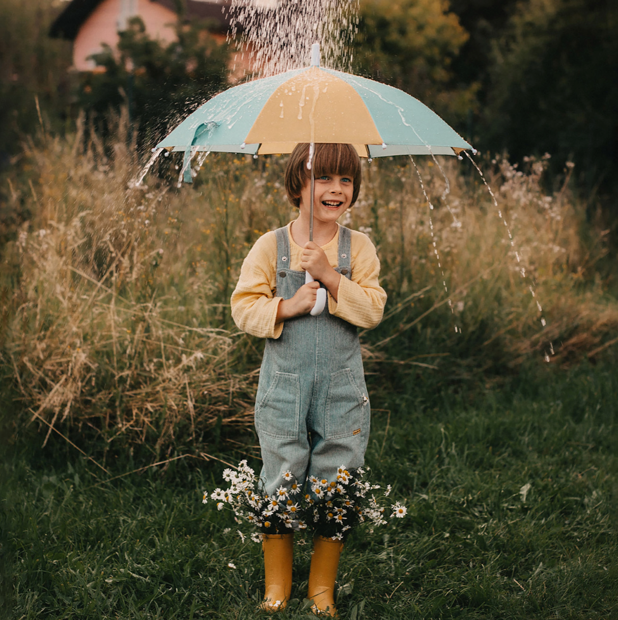 PARAPLUIE